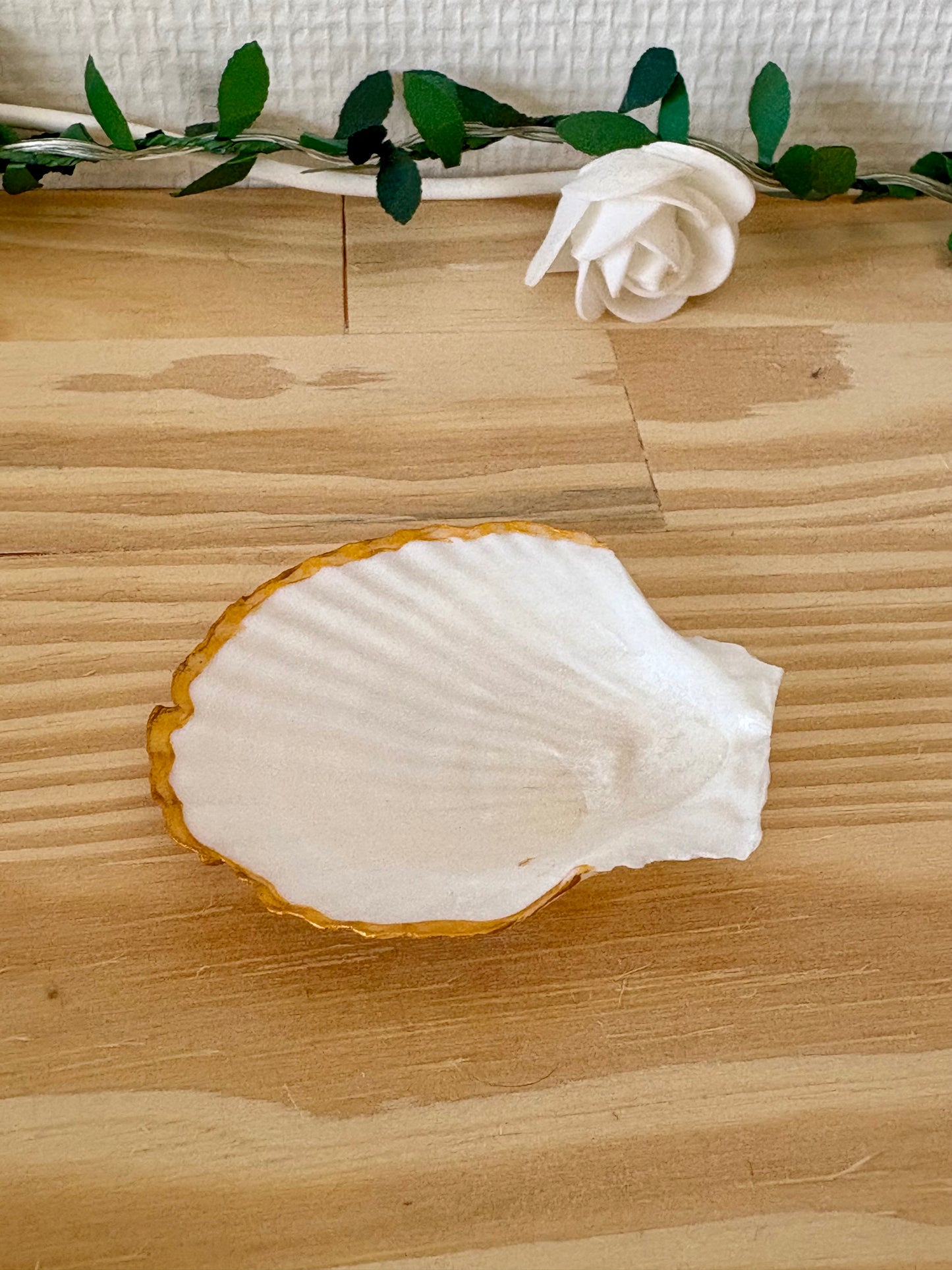 Coquillage « Éclat marin »