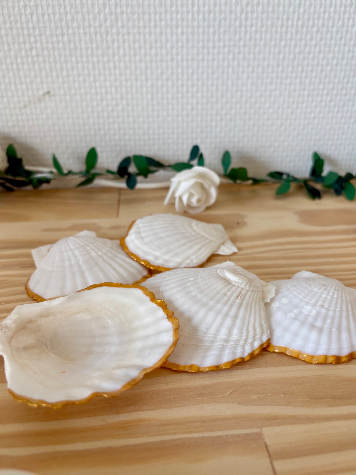 Coquillage « Éclat marin »