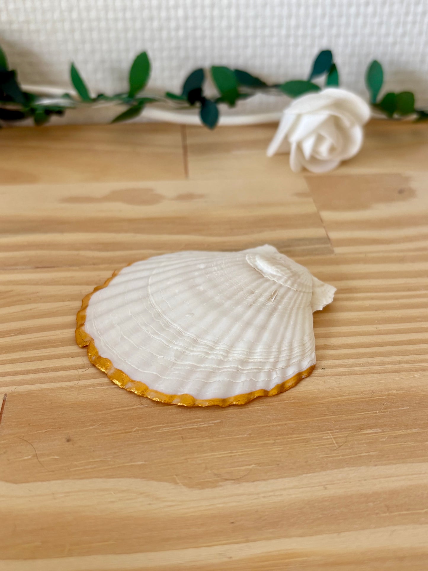 Coquillage « Éclat marin »